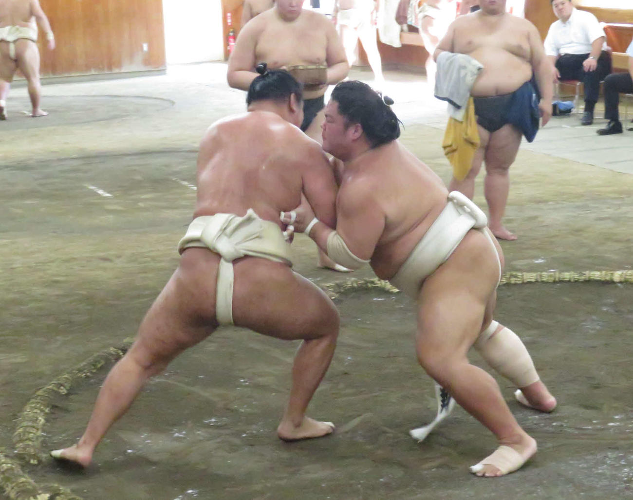 時津風一門の連合稽古で、豊昇龍（手前左）と稽古を重ねた大栄翔（同右）