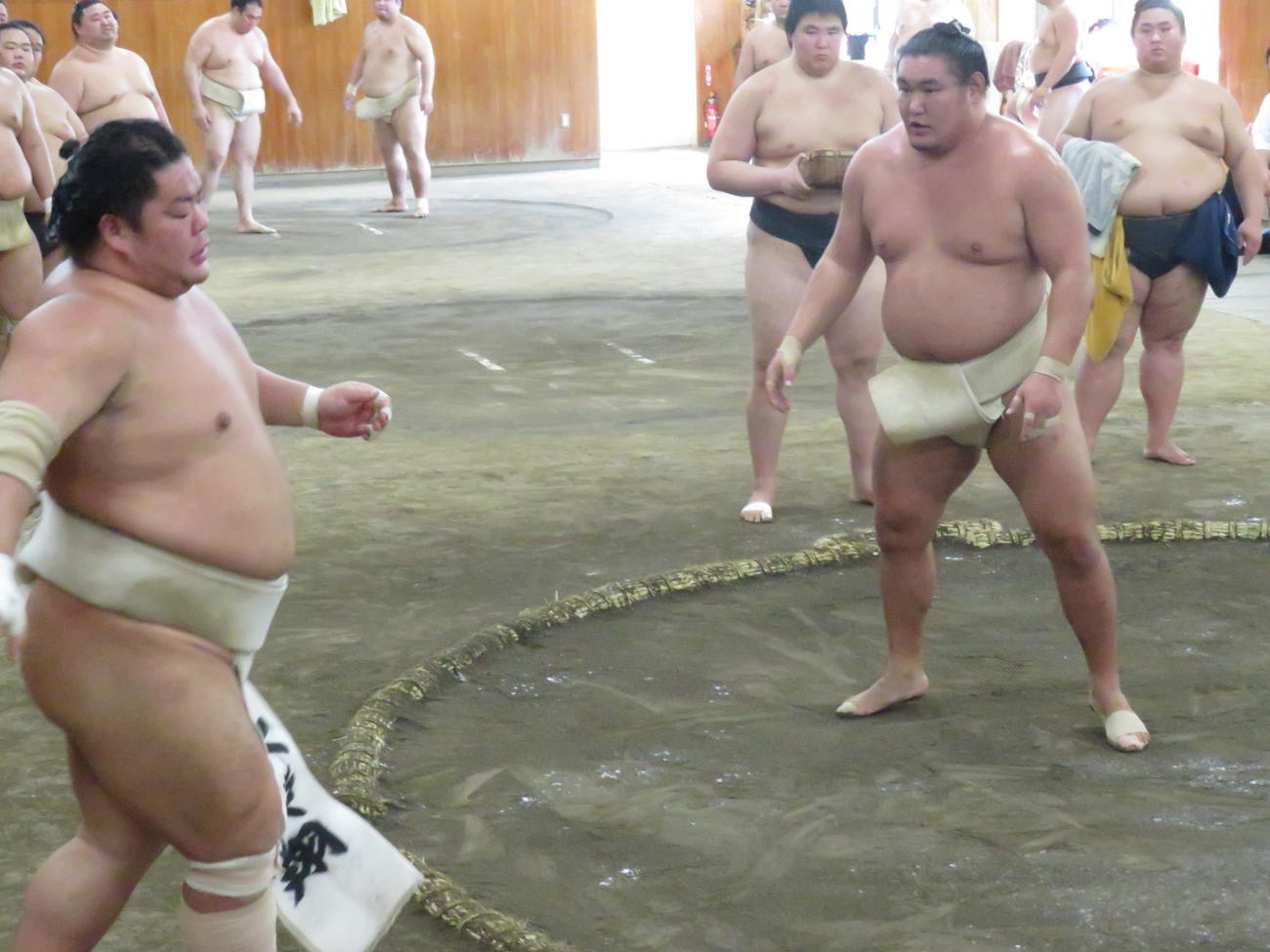 時津風一門の連合稽古に一門外から参加した豊昇龍（手前右）は、大栄翔（同左）を指名して稽古を重ねた