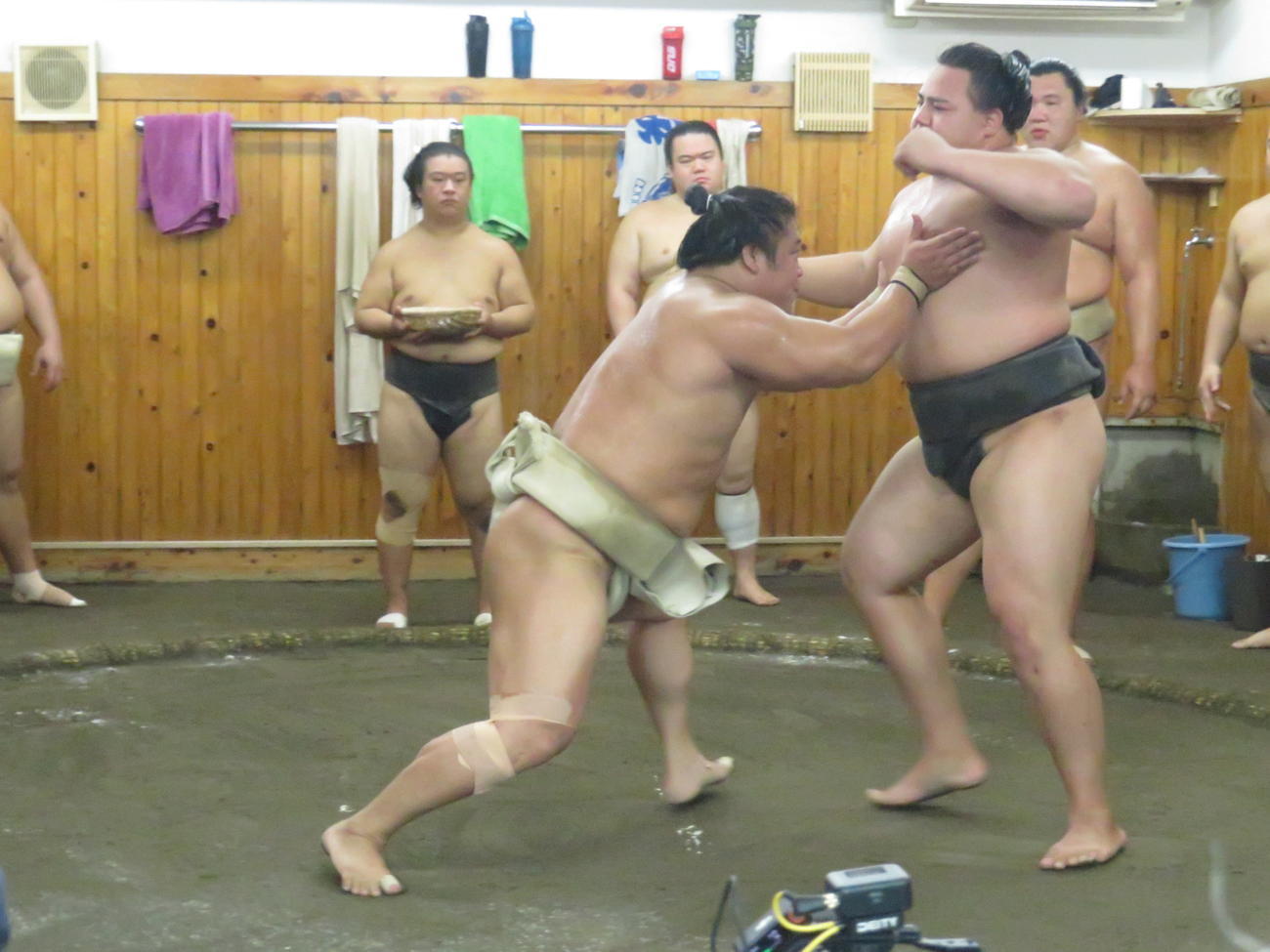 同部屋の丹治（右）に胸を借り、一丁押押しを繰り返した若隆景