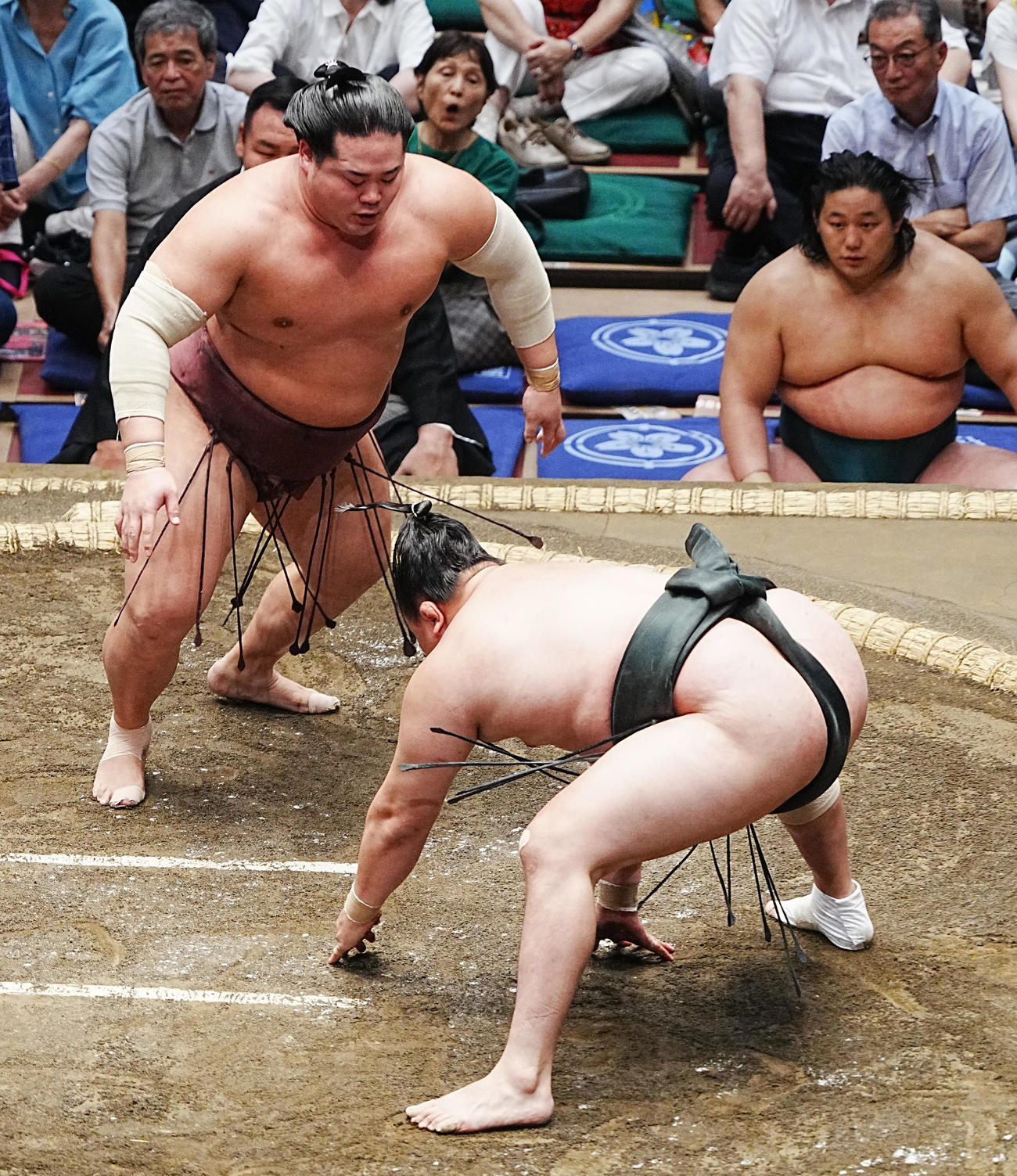大相撲秋場所初日　錦富士は千代翔馬（手前）をはたき込みで破る（撮影・小沢裕）