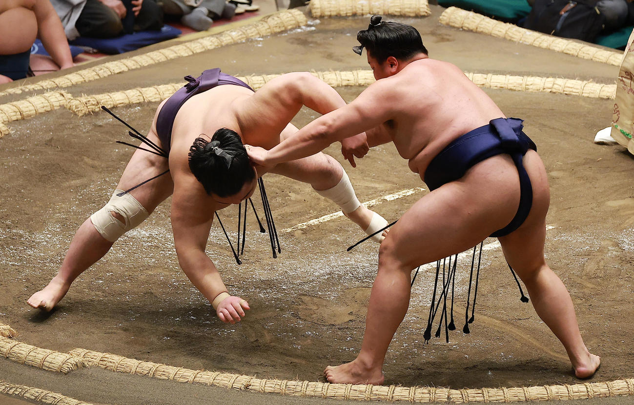 風賢央（左）を突き落としで破る朝白龍（撮影・中島郁夫）