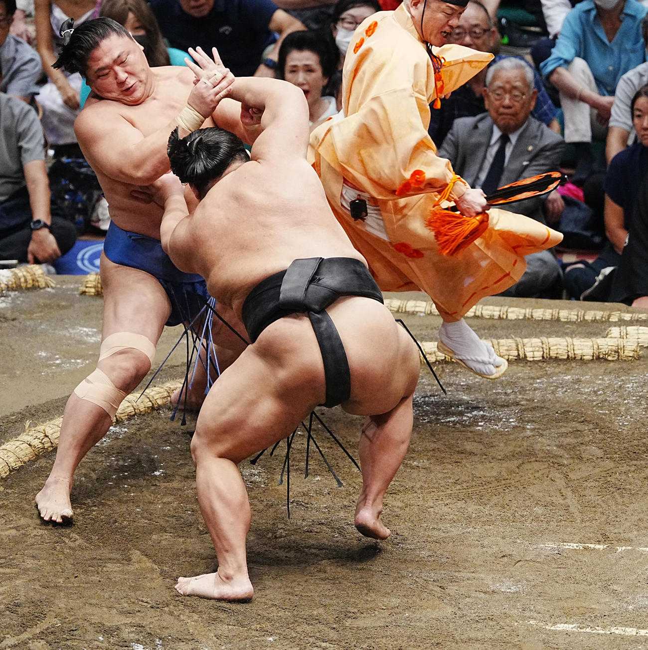 大相撲秋場所初日　若隆景（左）は伯桜鵬に押し出しで敗れる（撮影・小沢裕）