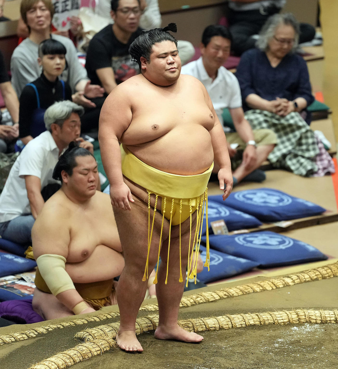 玉正鳳を破った嘉陽（撮影・たえ見朱実）