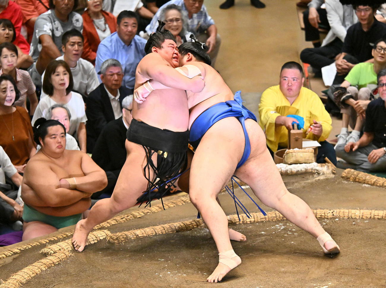 伯桜鵬（左）は大の里を突き落としで破る（撮影・滝沢徹郎）
