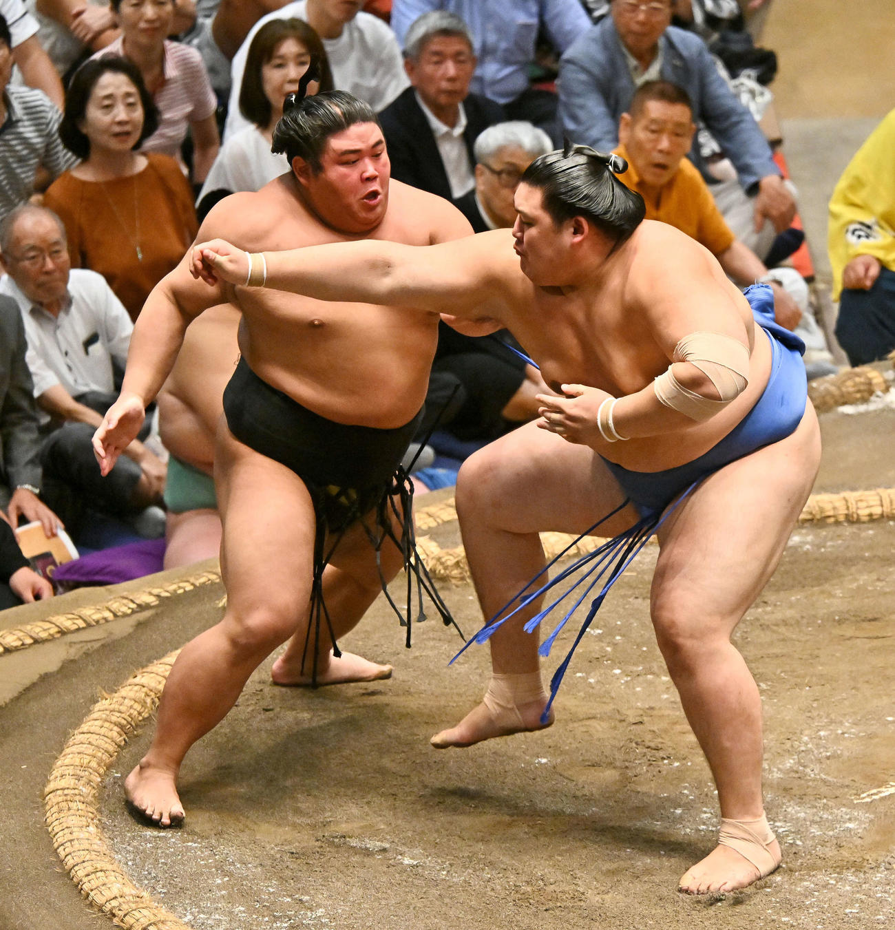 伯桜鵬（左）は大の里を攻める（撮影・滝沢徹郎）