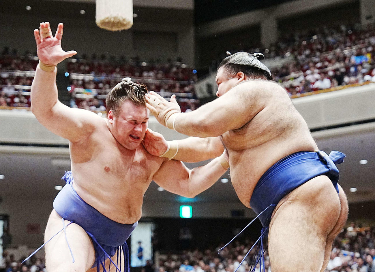 高安（右）の攻めをこらえる安青錦（撮影・小沢裕）