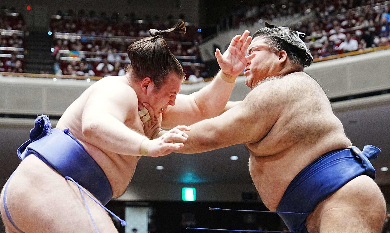 高安（右）の攻めをこらえる安青錦（撮影・小沢裕）