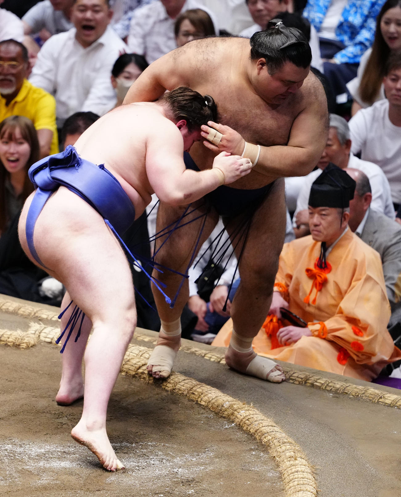 高安（右）を寄り切りで破る安青錦（撮影・鈴木みどり）