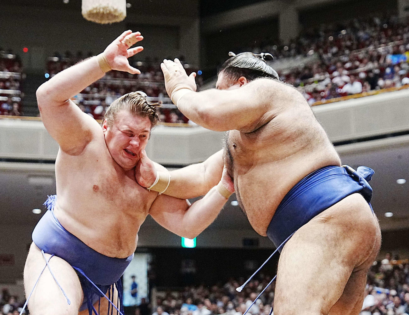 高安（右）の攻めをこらえる安青錦（撮影・小沢裕）