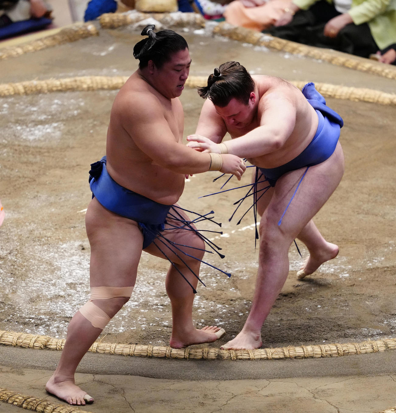 押し出しで若隆景（左）を破る安青錦（撮影・鈴木みどり）