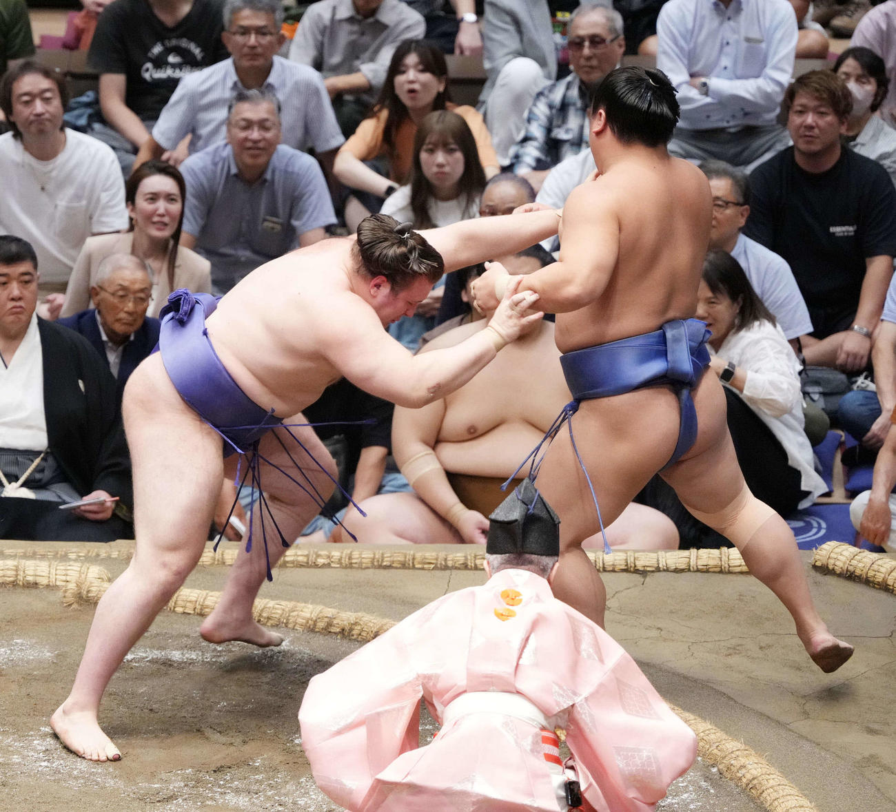 安青錦（左）は若隆景を押し出しで破る（撮影・小沢裕）