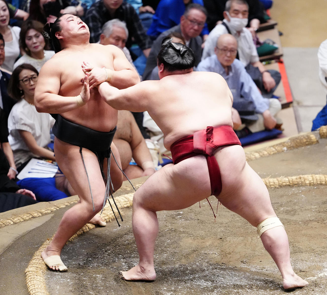 突き倒しで若元春（左）を破る隆の勝（撮影・鈴木みどり）
