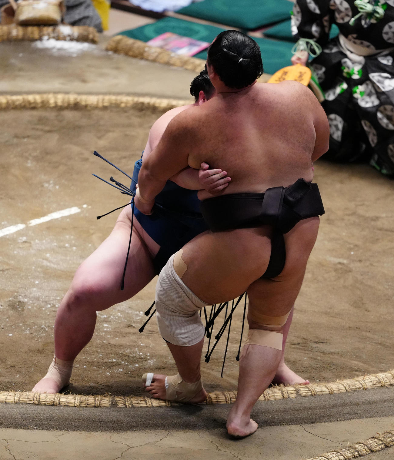 寄り切りで朝乃山（手前）を破る白熊（撮影・鈴木みどり）
