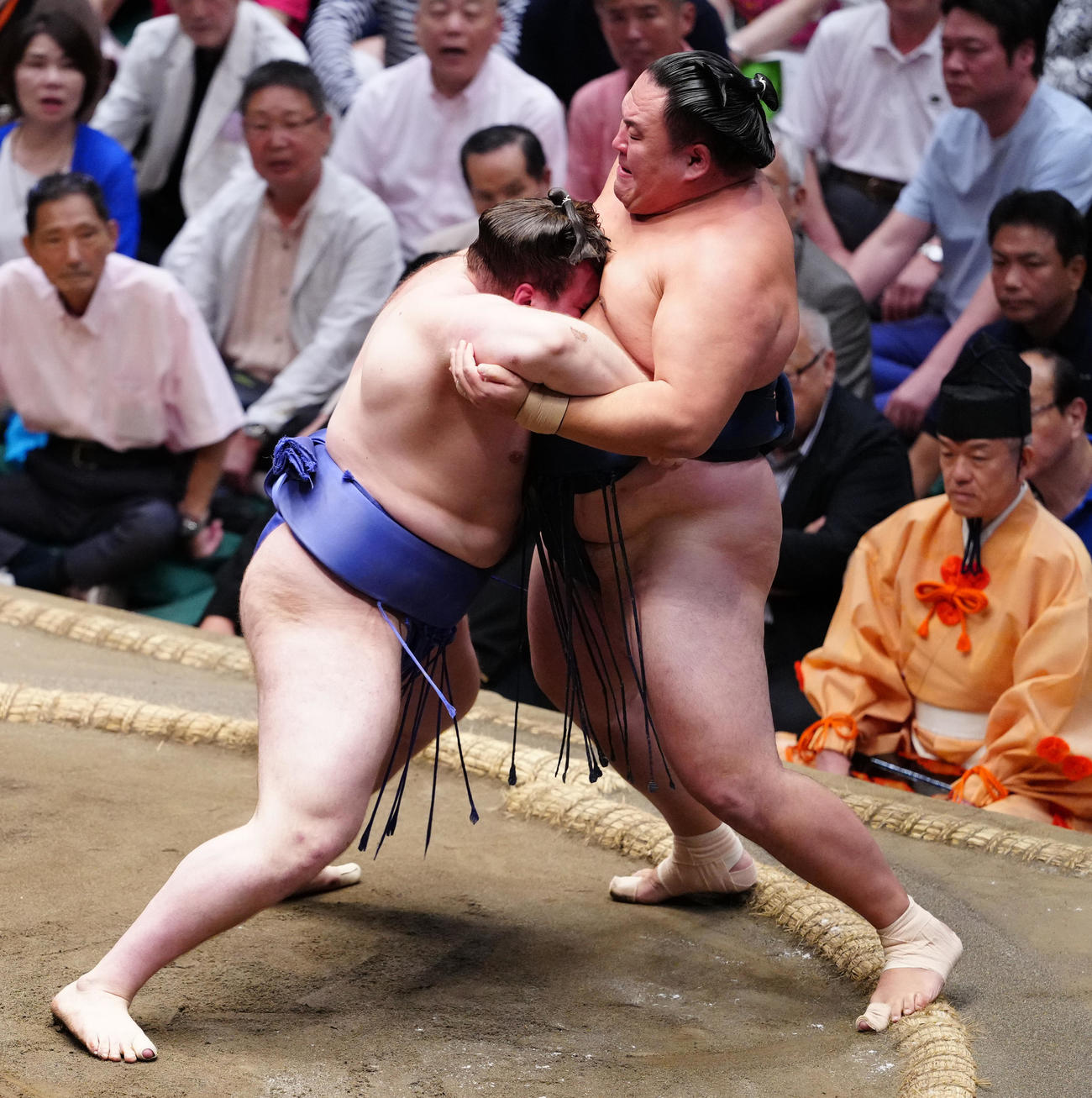 寄り切りで玉鷲（右）を破る安青錦（撮影・鈴木みどり）