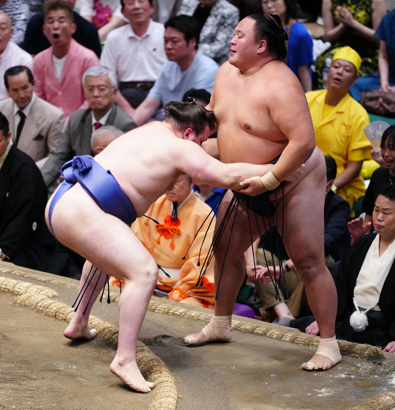 寄り切りで玉鷲（右）を破る安青錦（撮影・鈴木みどり）