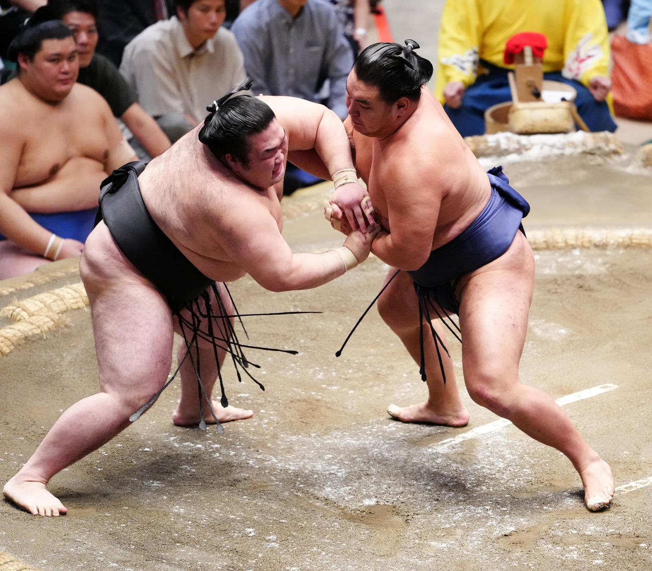 豪ノ山（左）を攻める豊昇龍（撮影・鈴木みどり）