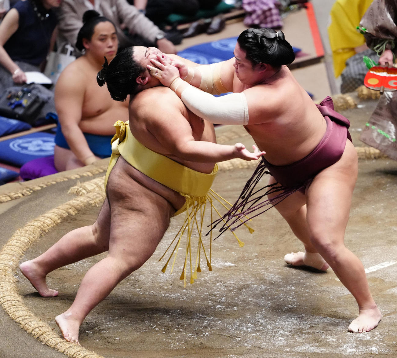 嘉陽（左）を攻める錦富士（撮影・鈴木みどり）