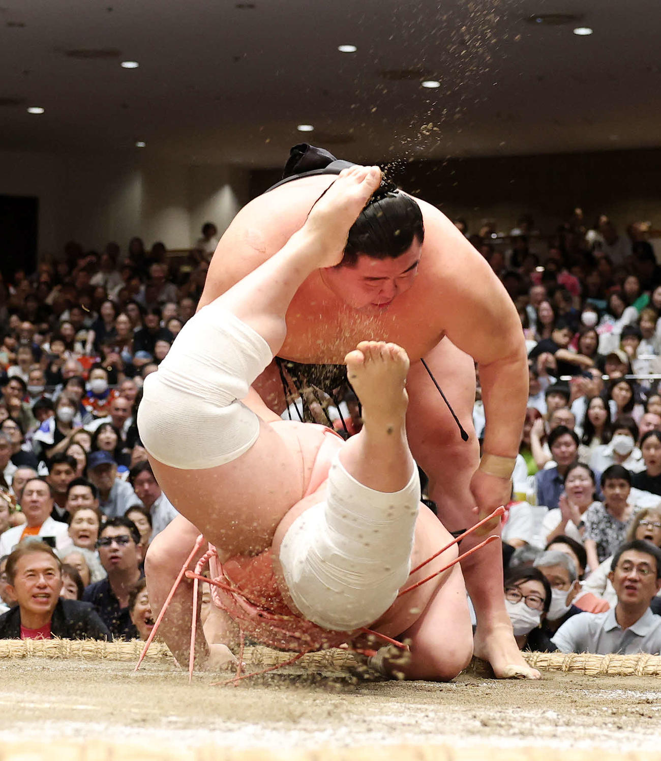 宇良（下）を上手投げで破る正代（撮影・鈴木正人）