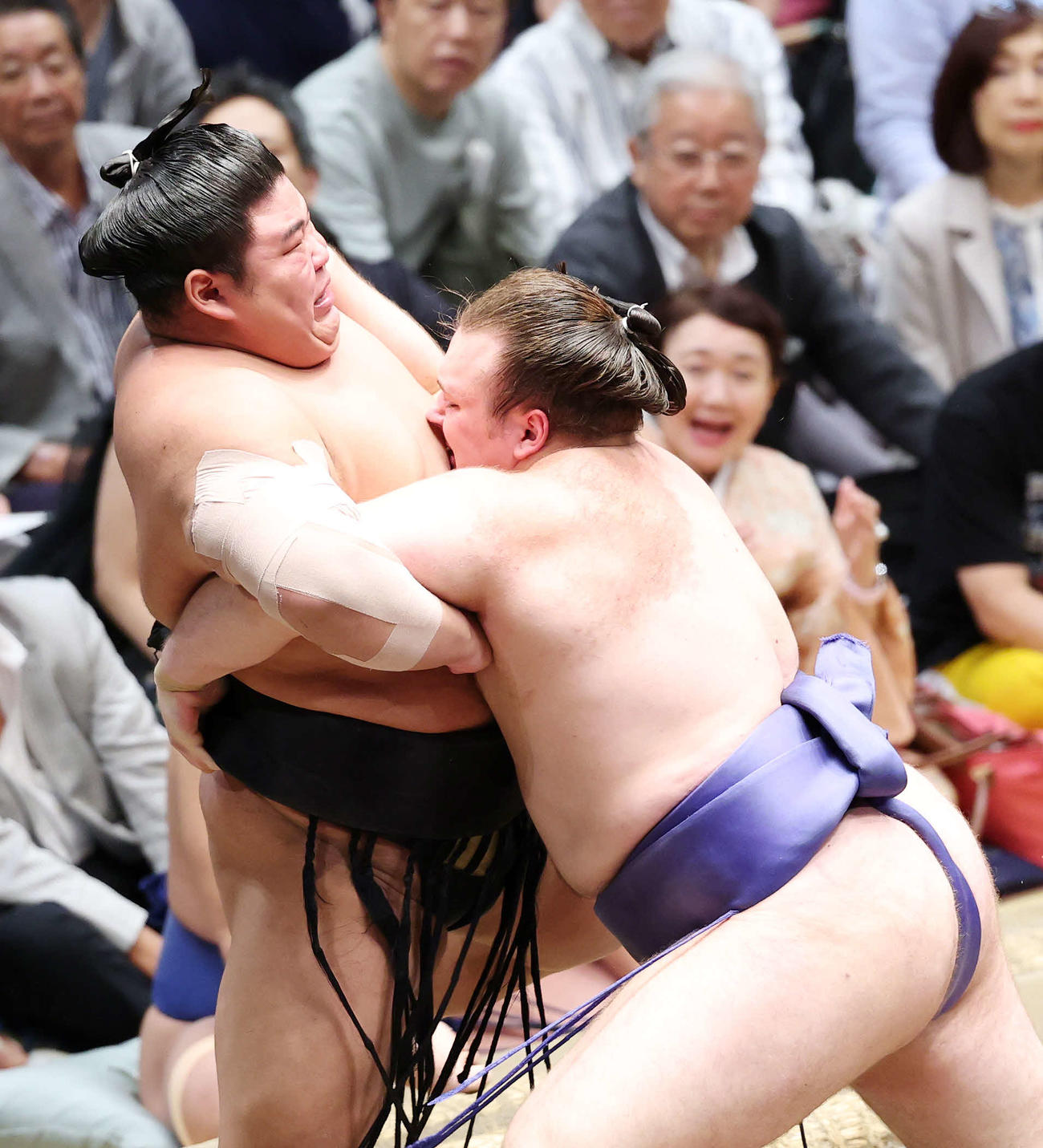 伯桜鵬（左）を攻める安青錦（撮影・鈴木正人）