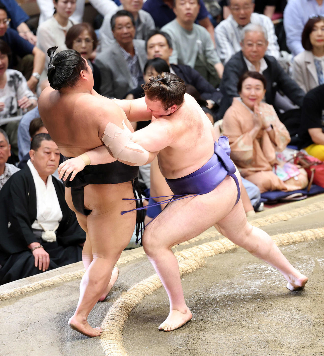 伯桜鵬（左）を寄り切りで破る安青錦（撮影・鈴木正人）