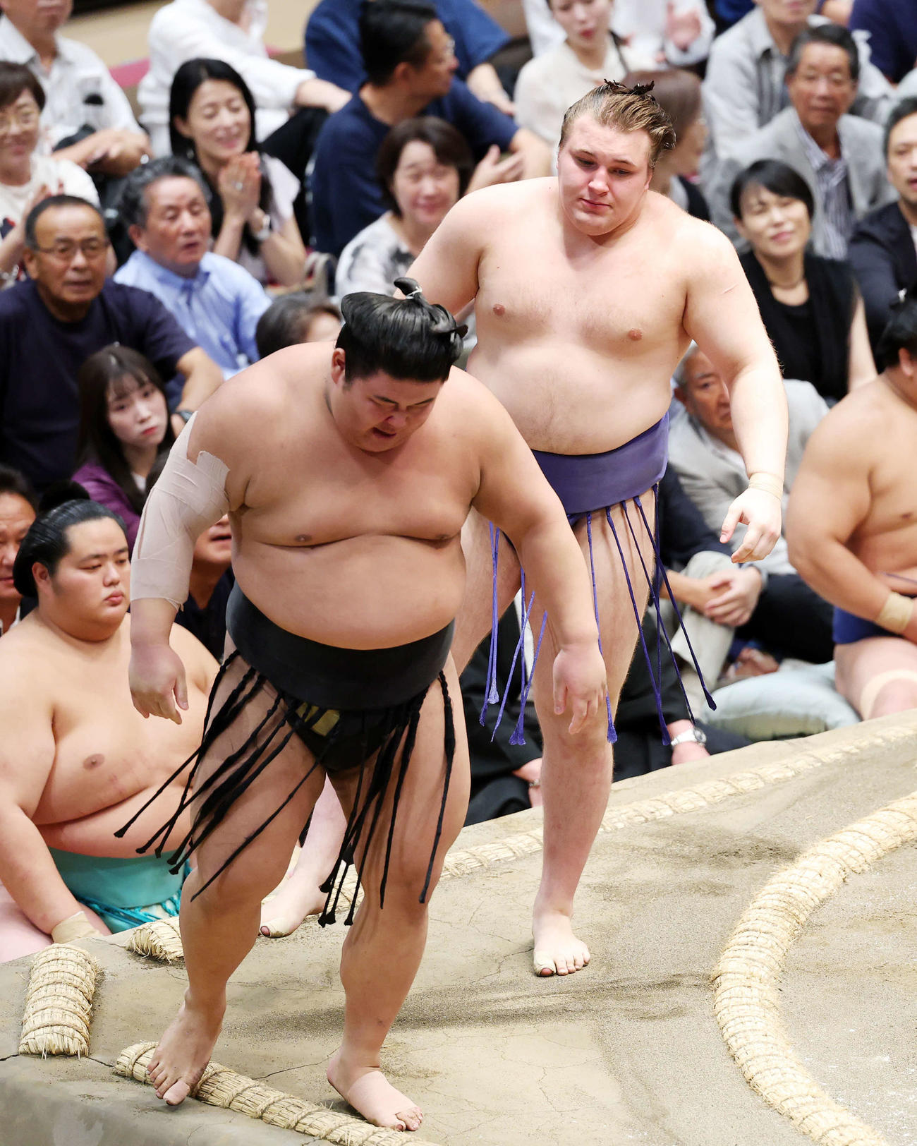 伯桜鵬（左）を寄り切りで破った安青錦（撮影・鈴木正人）