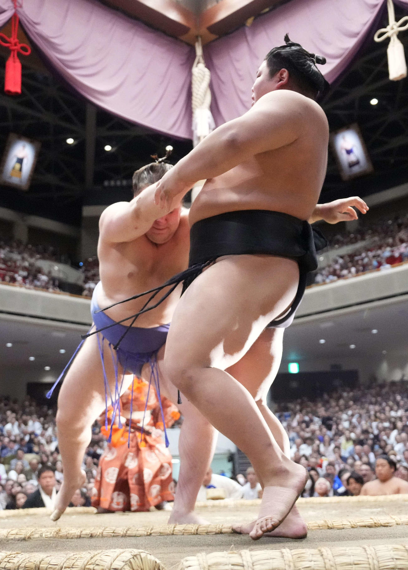 安青錦は伯桜鵬（右）を寄り切りで下す（撮影・小沢裕）