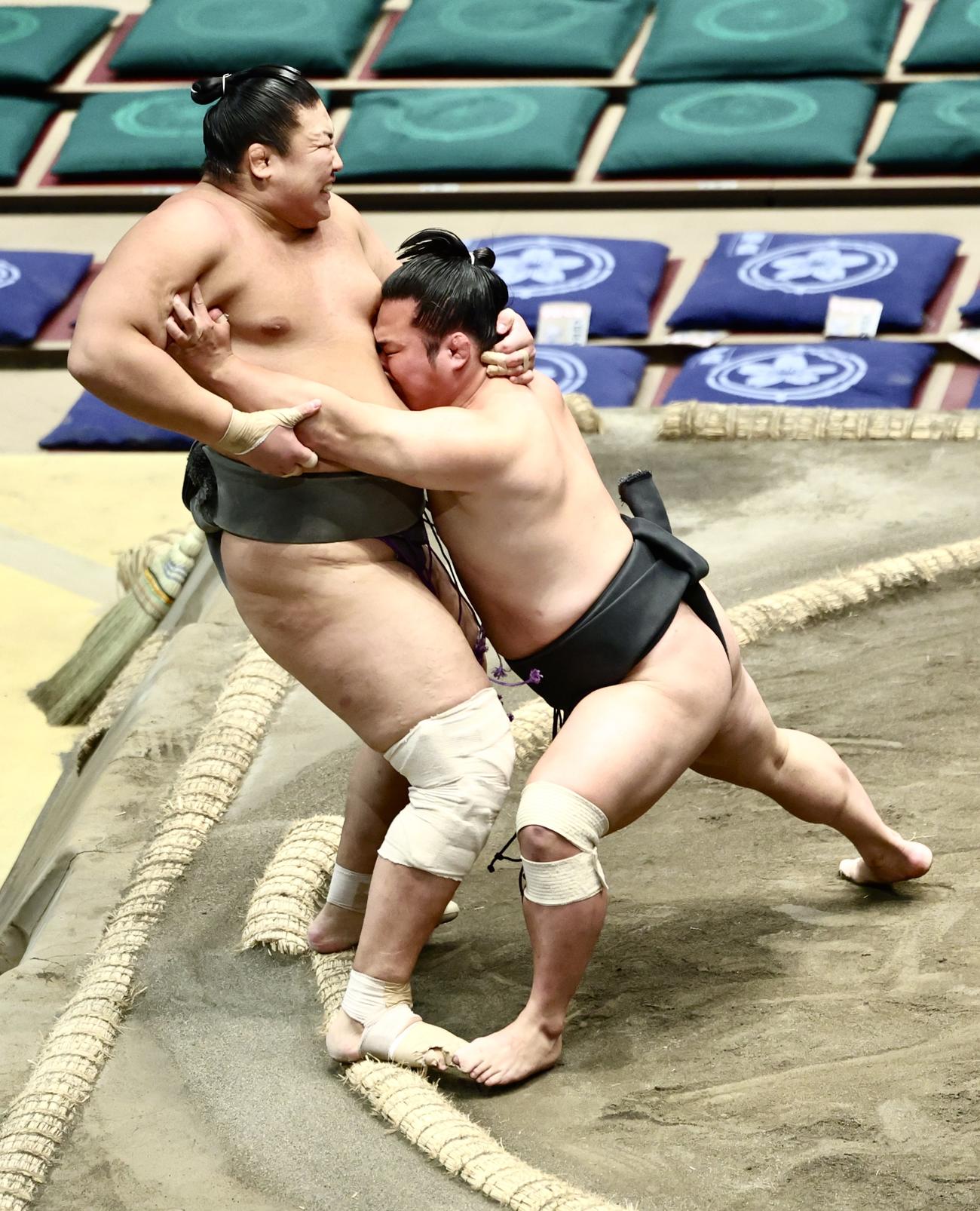 佐田ノ輝（左）を押し出しで破る炎鵬（撮影・河田真司）