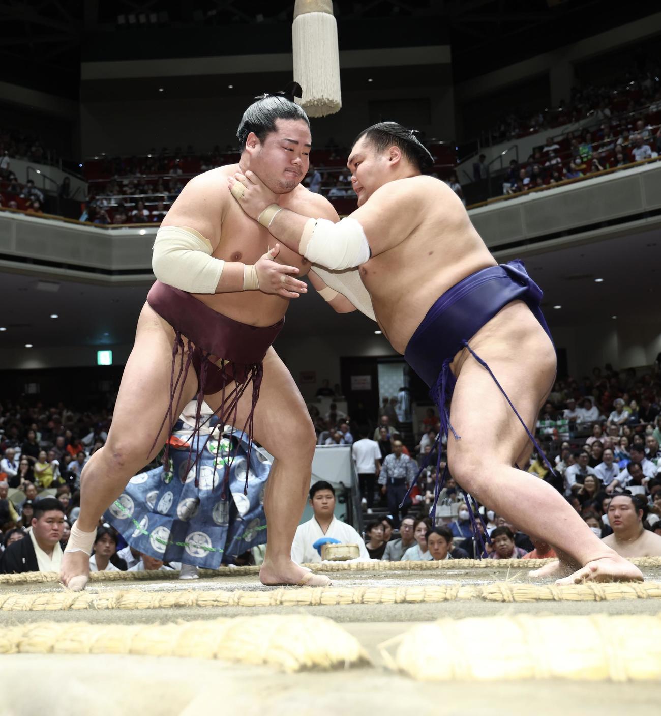 激しくぶつかり合う錦富士（左）と栃大海（撮影・河田真司）