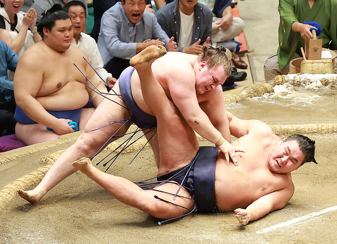 豊昇龍（右）を切り返しで破る安青錦（撮影・中島郁夫）