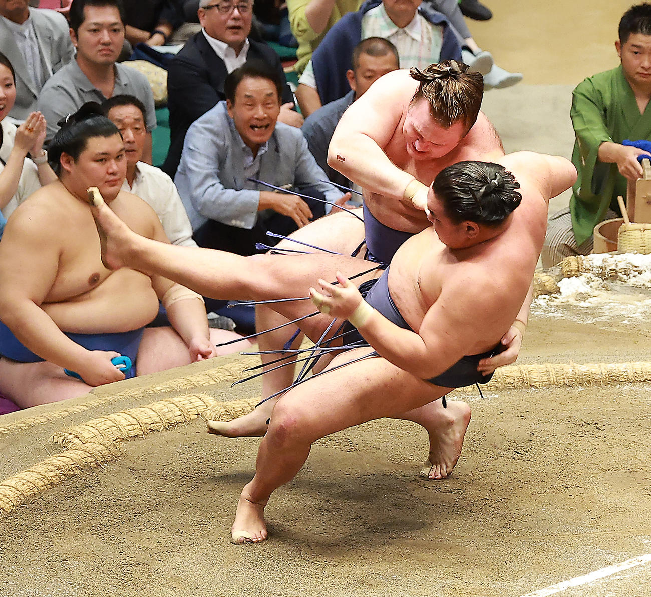豊昇龍（右）を切り返しで破る安青錦（撮影・中島郁夫）