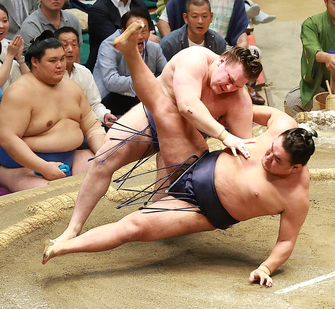 豊昇龍（右）を切り返しで破る安青錦（撮影・中島郁夫）
