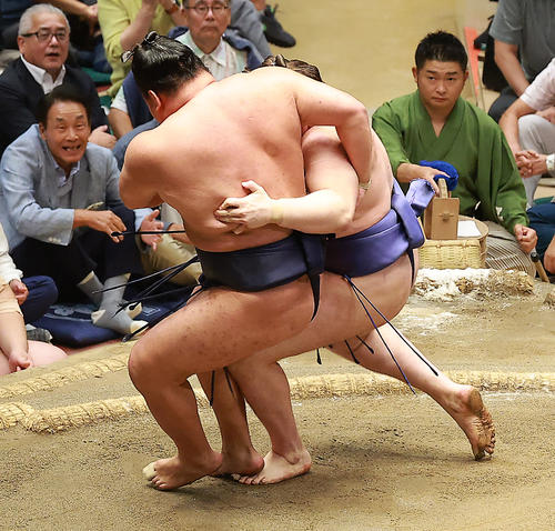 土俵に尻もち豊昇龍…安青錦に敗れ自身最長だった連勝が11で止まる 支度