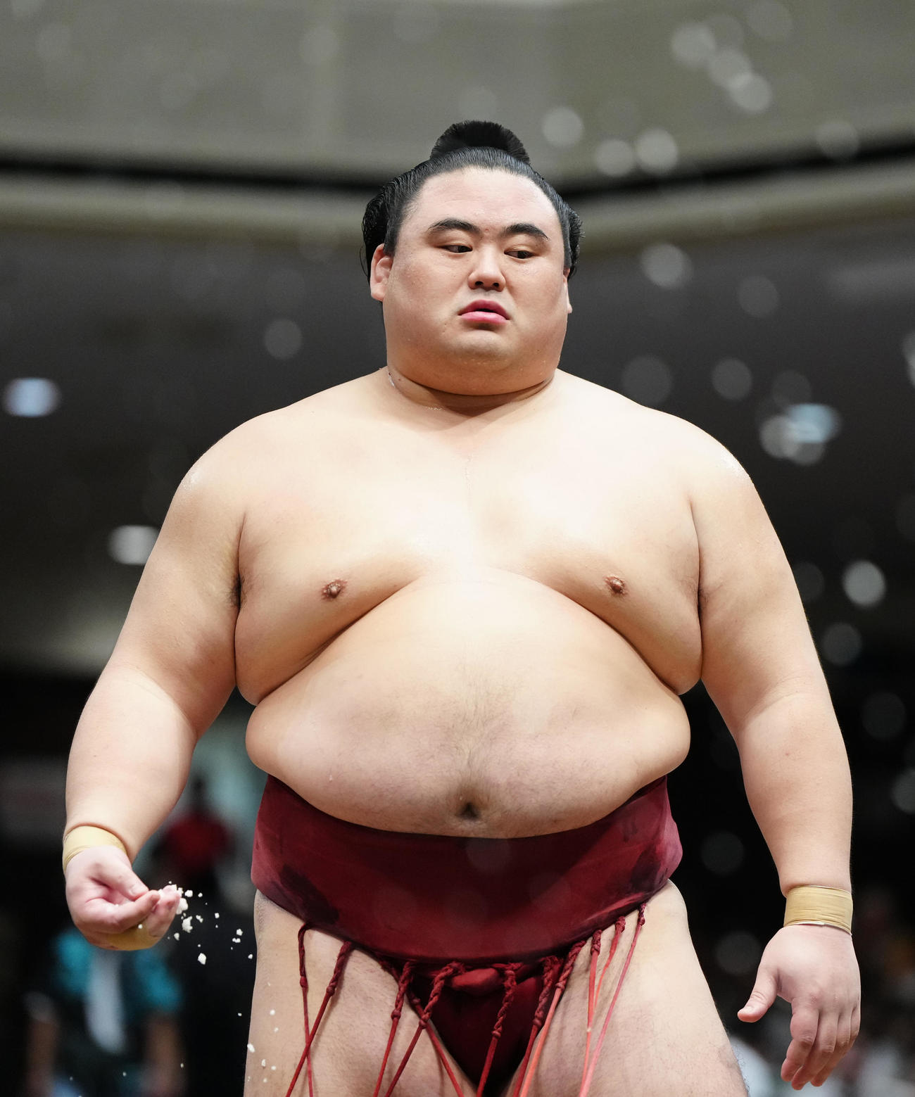 隆の勝（2025年9月15日撮影）