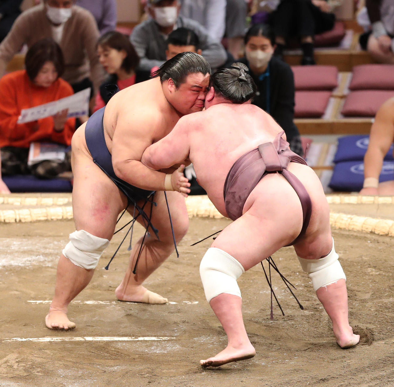 押し出しで紫雷を下した藤凌駕（撮影・梅根麻紀）