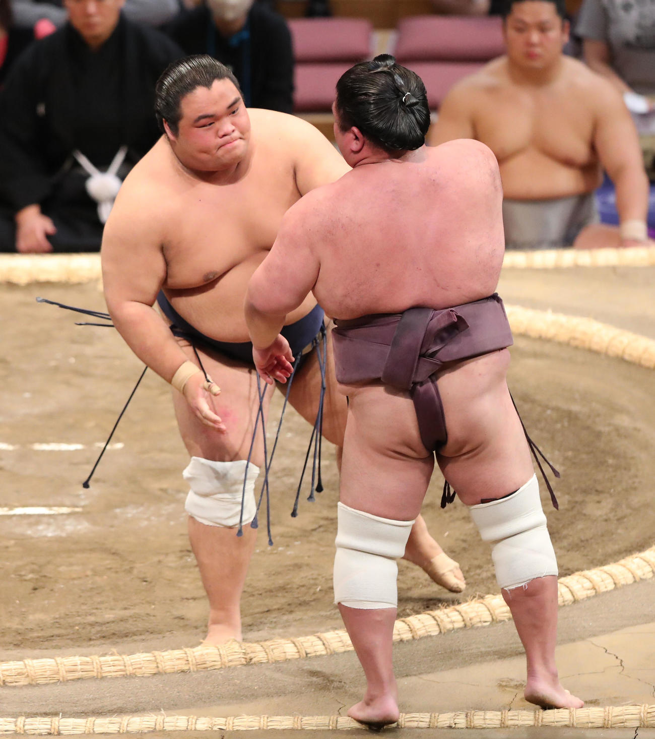 押し出しで紫雷を下した藤凌駕（撮影・梅根麻紀）