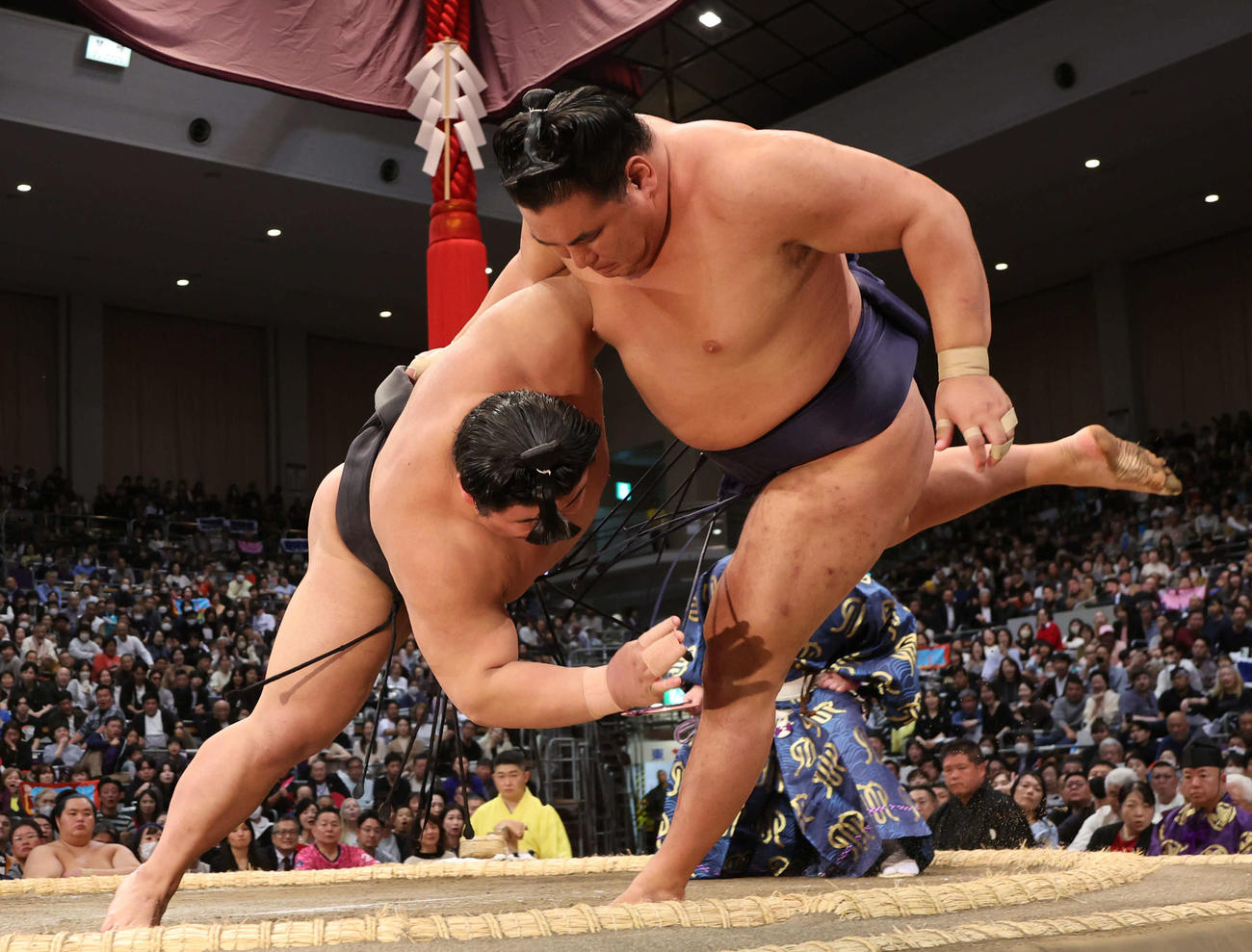 伯桜鵬は寄り倒しで豊昇龍に勝ち金星を挙げた（撮影・西尾就之）