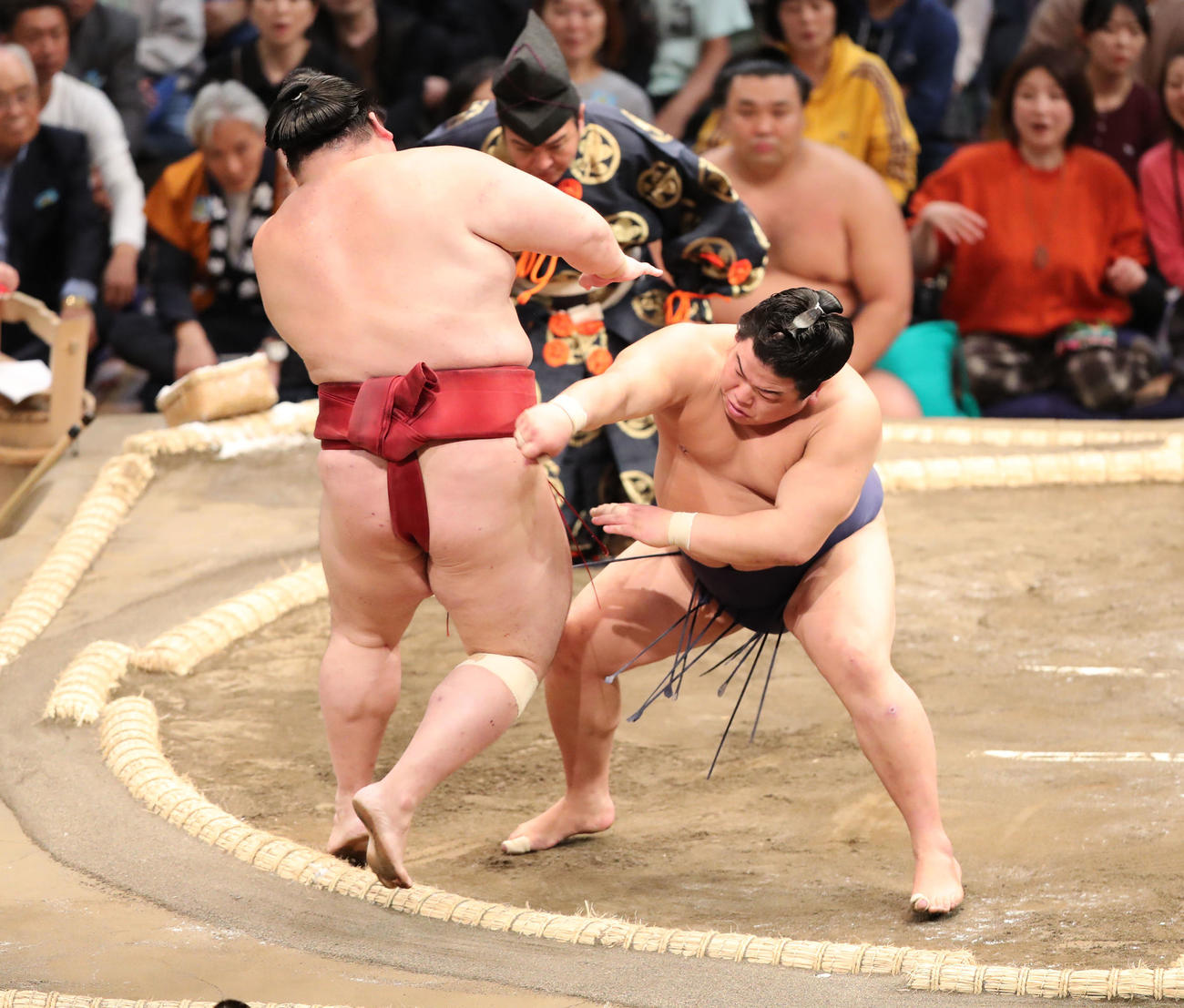 大相撲九州場所初日　押し出しで隆の勝を破る平戸海（撮影・梅根麻紀）