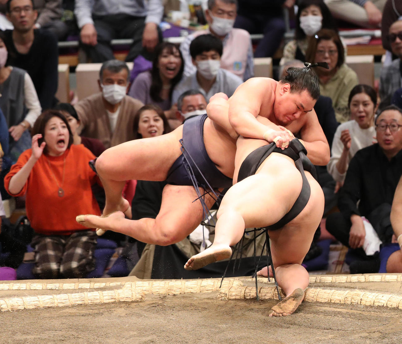 大相撲九州場所初日　寄り倒しで豊昇龍を破った伯桜鵬（撮影・梅根麻紀）
