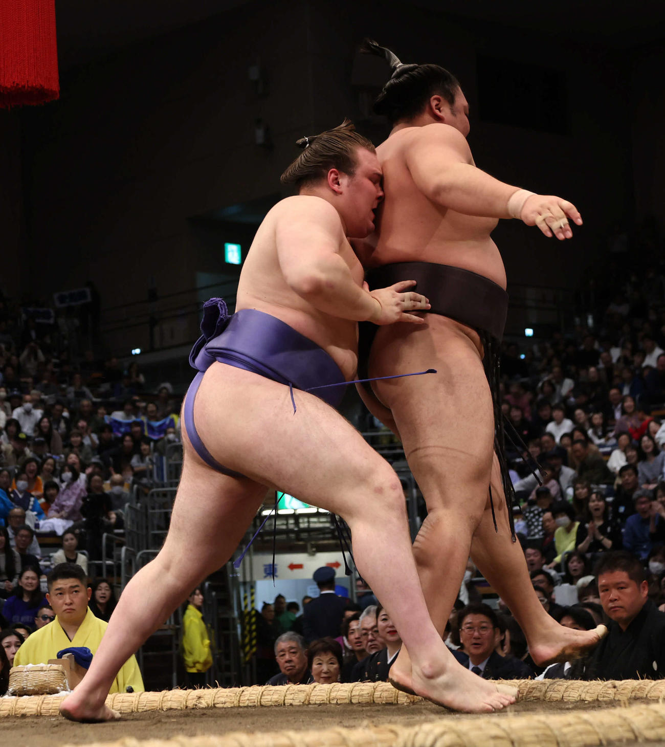 安青錦は送り出しで霧島を下し白星発進を決めた（撮影・西尾就之）