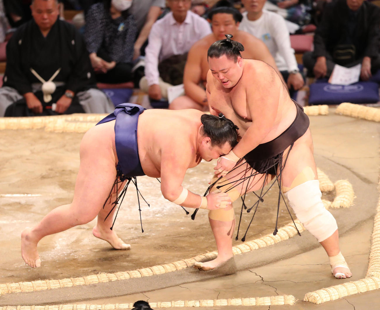 大相撲九州場所2日目　押し出しで朝乃山を破る栃大海（左）（撮影・梅根麻紀）