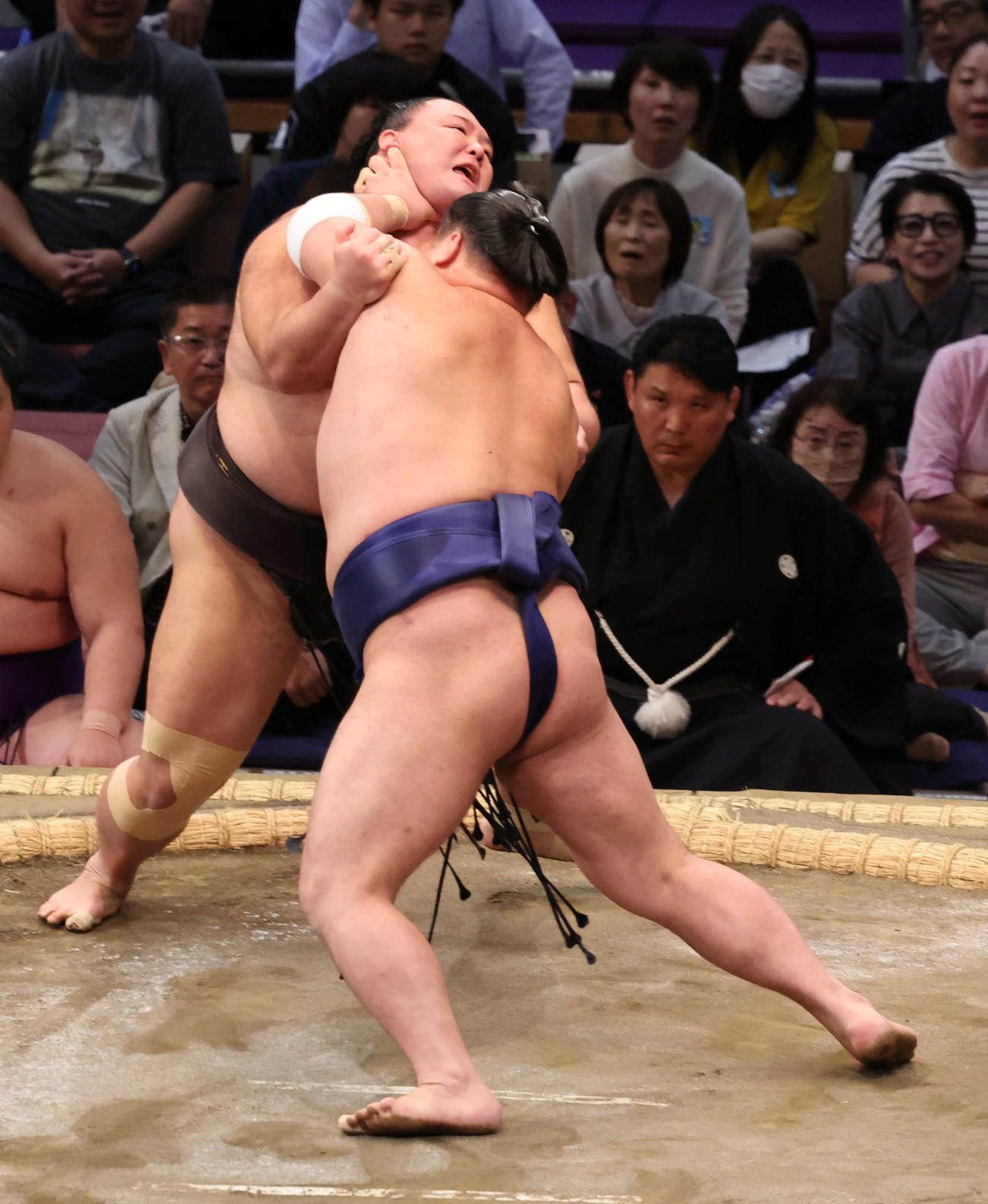 十両の朝乃山は栃大海に押し出される（撮影・西尾就之）