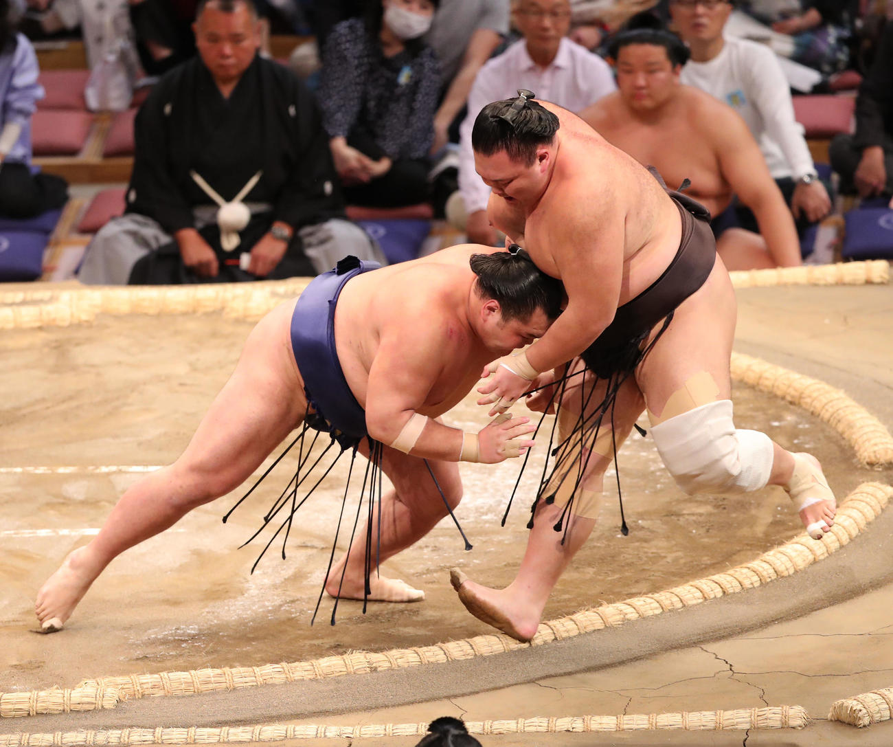 大相撲九州場所2日目　押し出しで朝乃山を破る栃大海（左）（撮影・梅根麻紀）