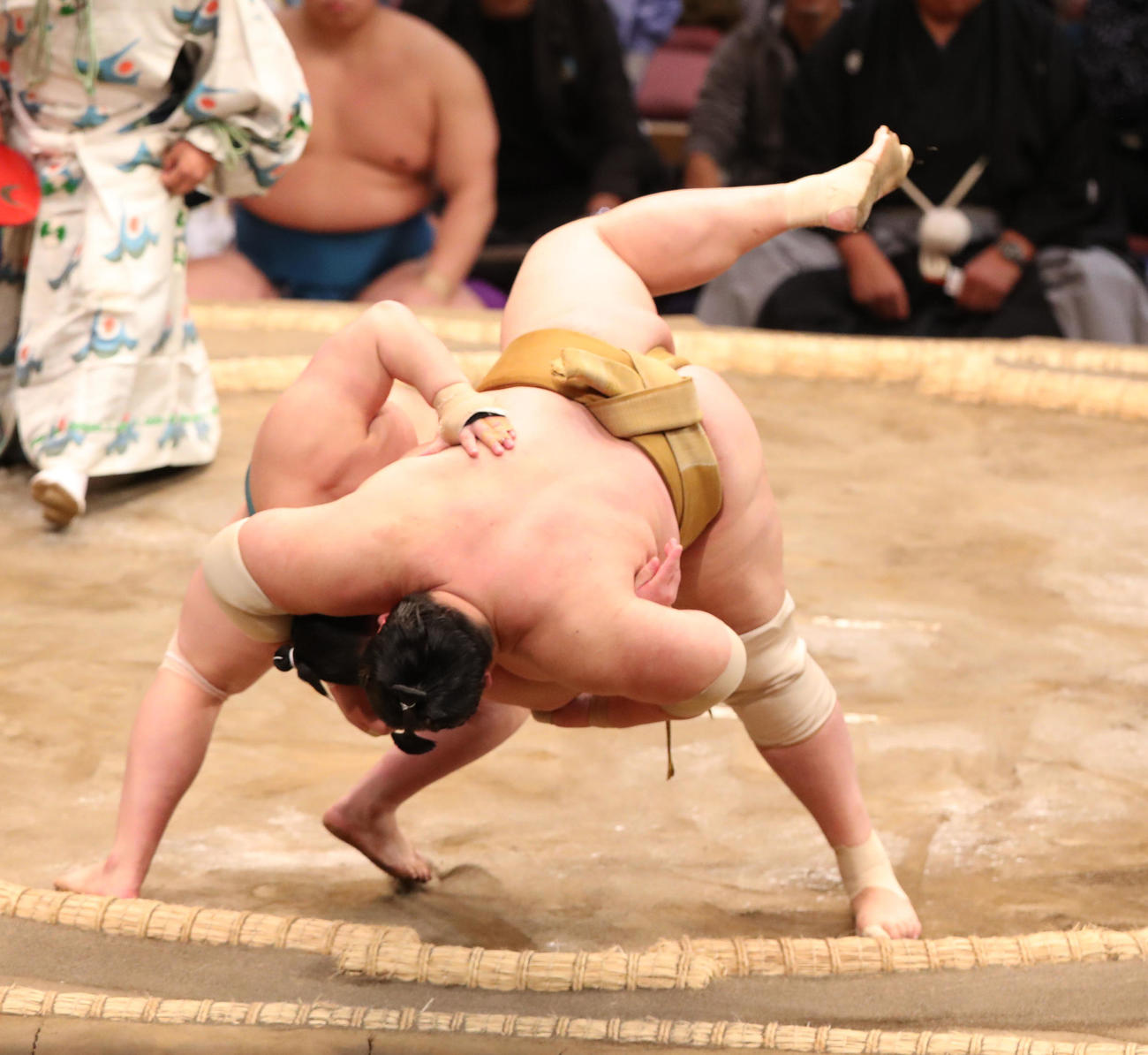 大相撲九州場所2日目　浴びせ倒しで三田を破る輝（撮影・梅根麻紀）