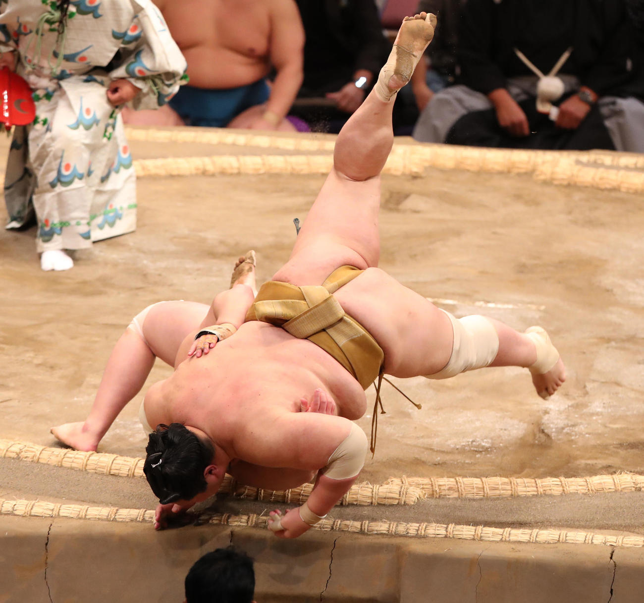 大相撲九州場所2日目　浴びせ倒しで三田を破る輝（撮影・梅根麻紀）