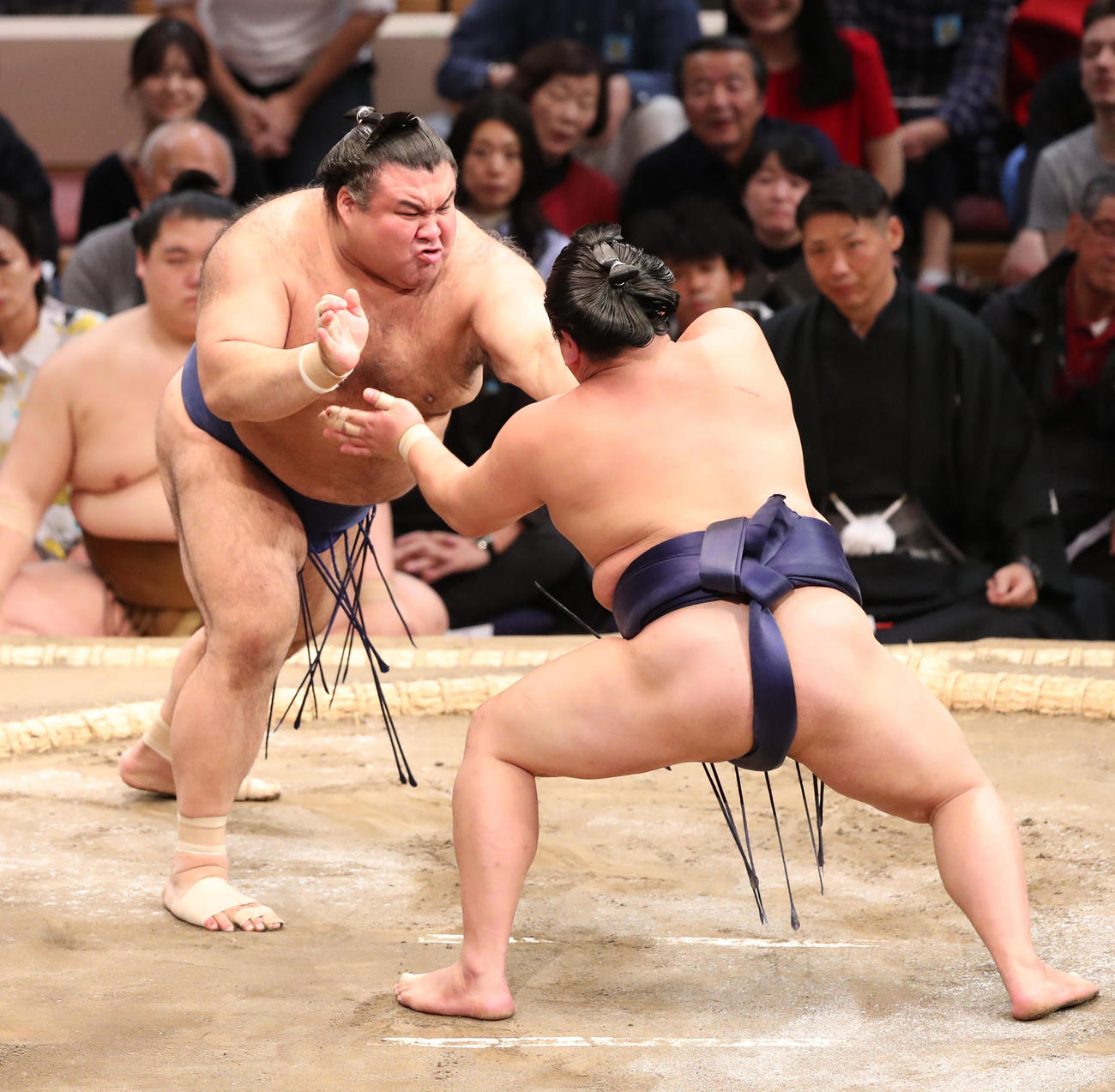 大相撲九州場所2日目　平戸海を勢いよく攻める高安（撮影・梅根麻紀）