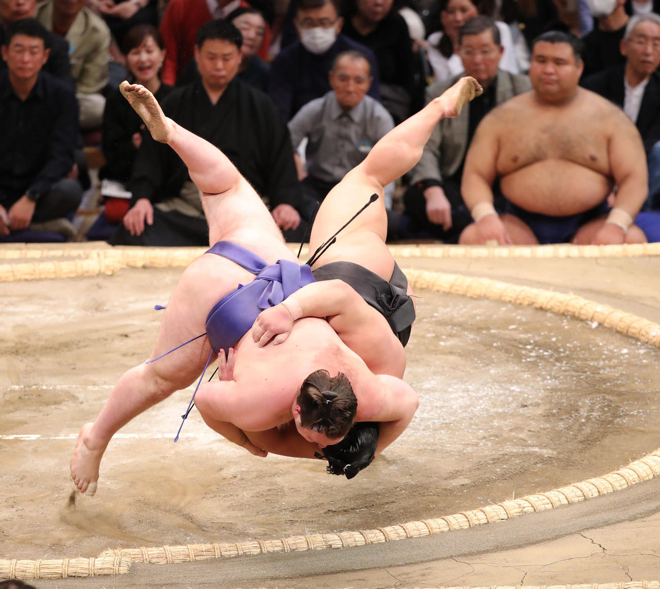 首投げで伯桜鵬を破る安青錦(左）（撮影・梅根麻紀）