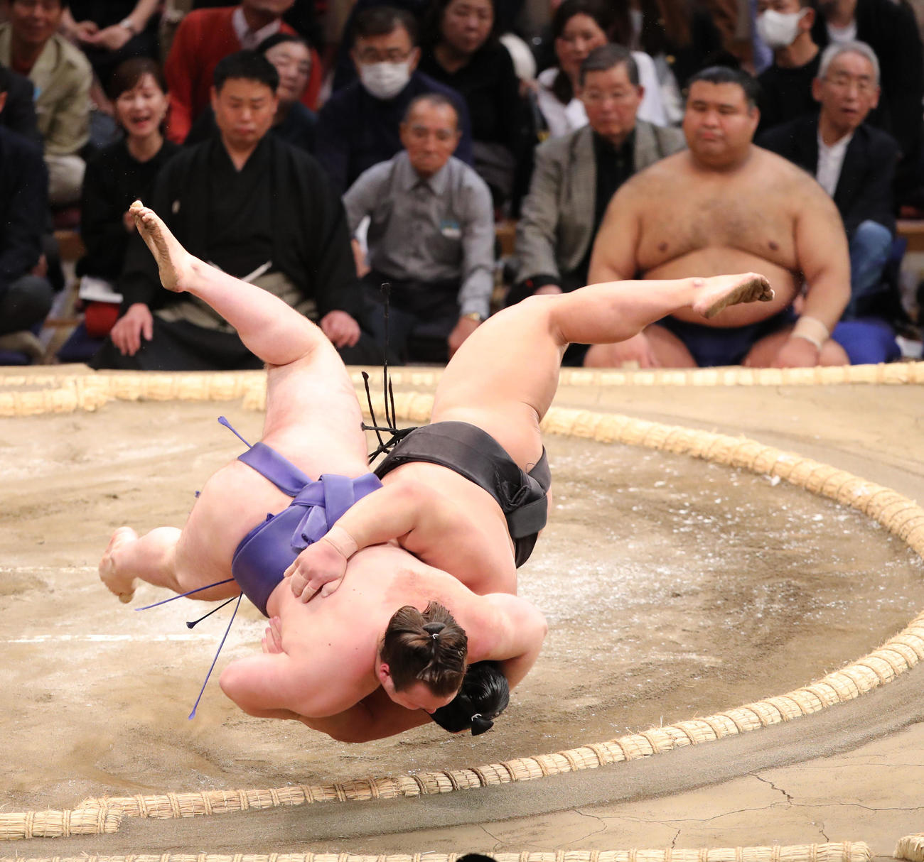 大相撲九州場所3日目　首投げで伯桜鵬を破る安青錦(左）（撮影・梅根麻紀）