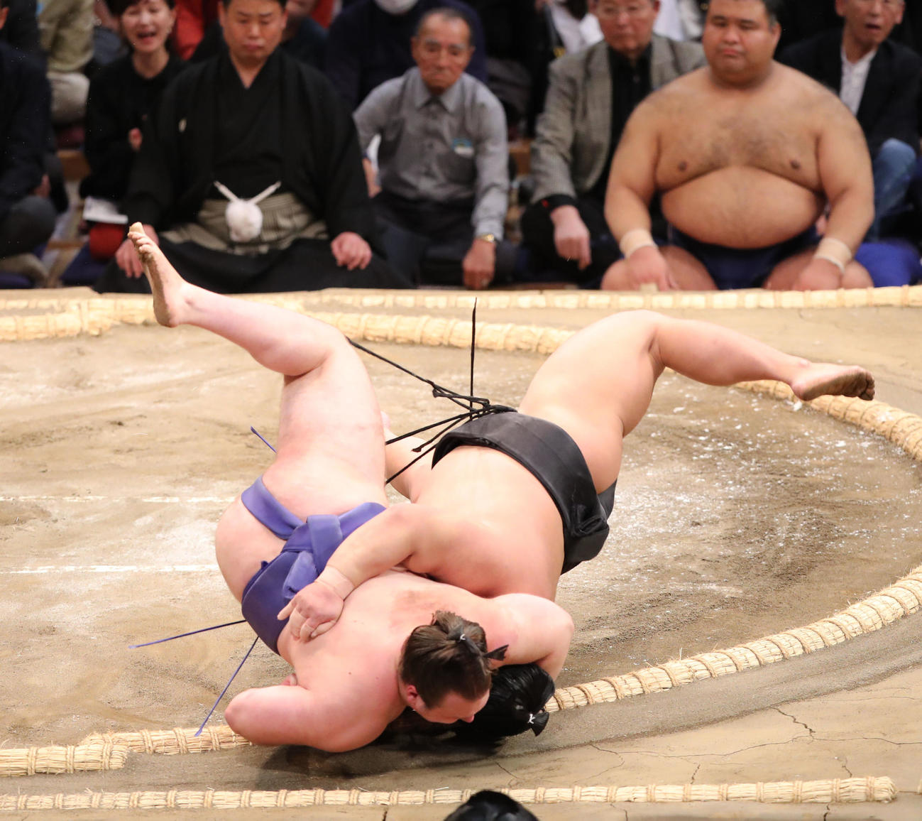 大相撲九州場所3日目　首投げで伯桜鵬を破る安青錦(左）（撮影・梅根麻紀）