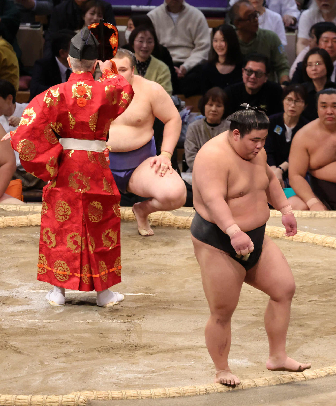 物言いがついたものの軍配通り安青錦の勝ちとなり引き揚げる伯桜鵬（撮影・西尾就之）