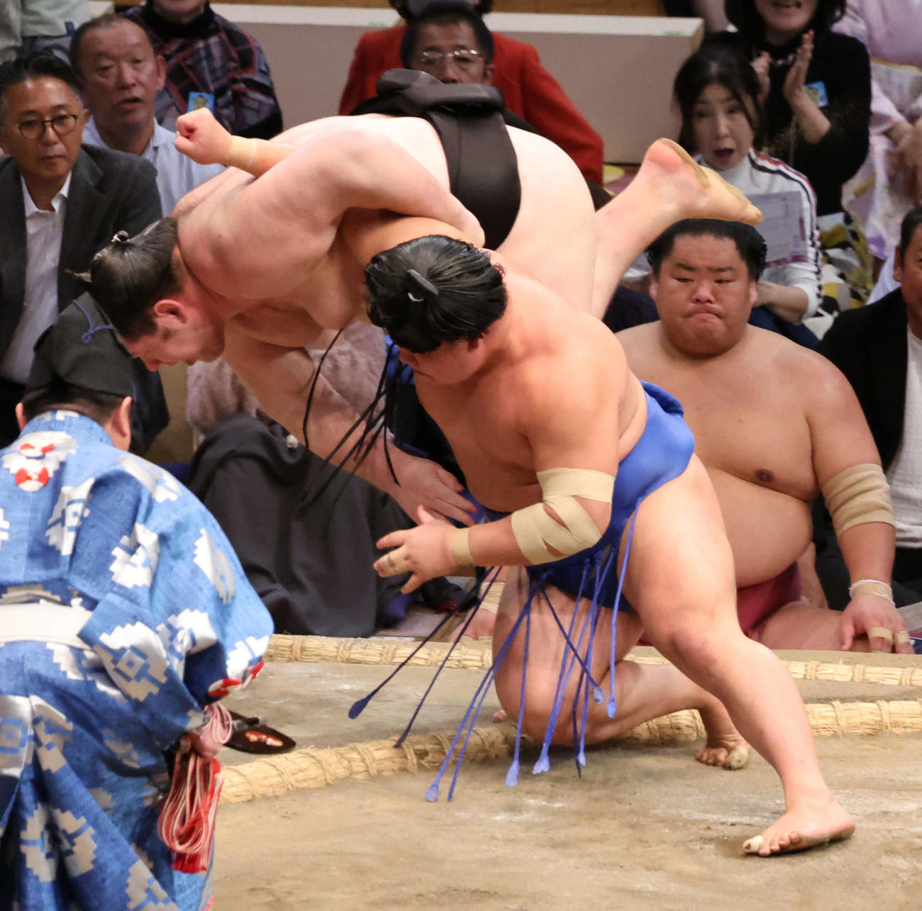 藤ノ川は寄り切りで獅司を下し4連勝（撮影・西尾就之）